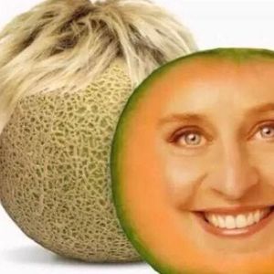 Meet your Posher, Benjamin